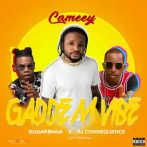 Cameey - ”Gaddem Vibe” ft. Sugarbana & DJ Consequence